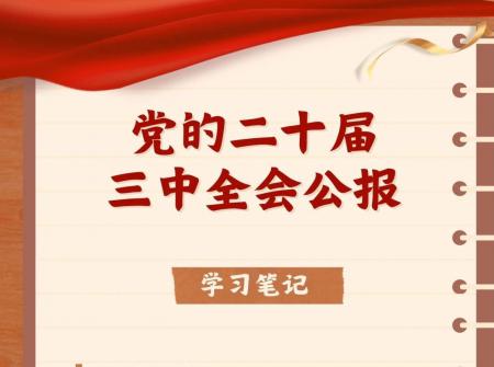 收藏！二十屆三中全會公報學(xué)習(xí)筆記